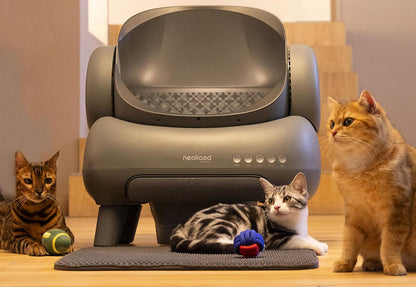 Neakasa M1 Oben offene Katzenklo selbstreinigend Katzentoilette XXL, Geruchsfreie, Hygienisch, App-Steuerung, Große Fassungsvermögen, mit Katzenstreu Matte, Cat Litter Box mit für mehrere Katzen